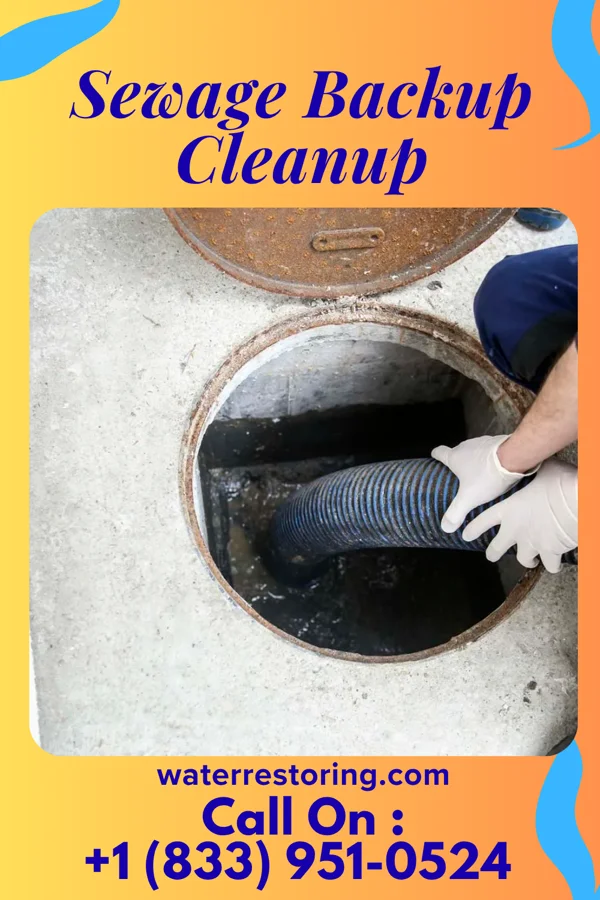 Sewage Backup Cleanup in Clark Fork, ID